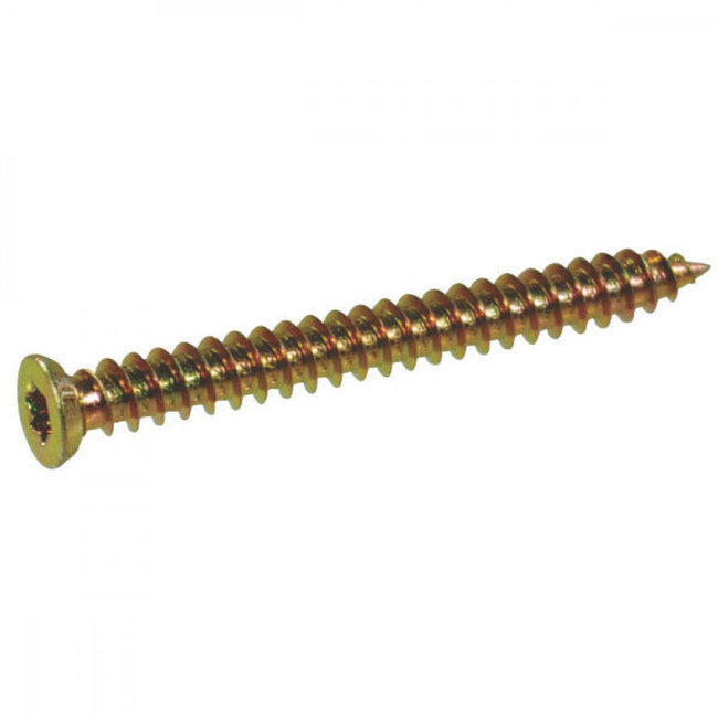 Golden concrete frame screw with Torx drive | Only Windows